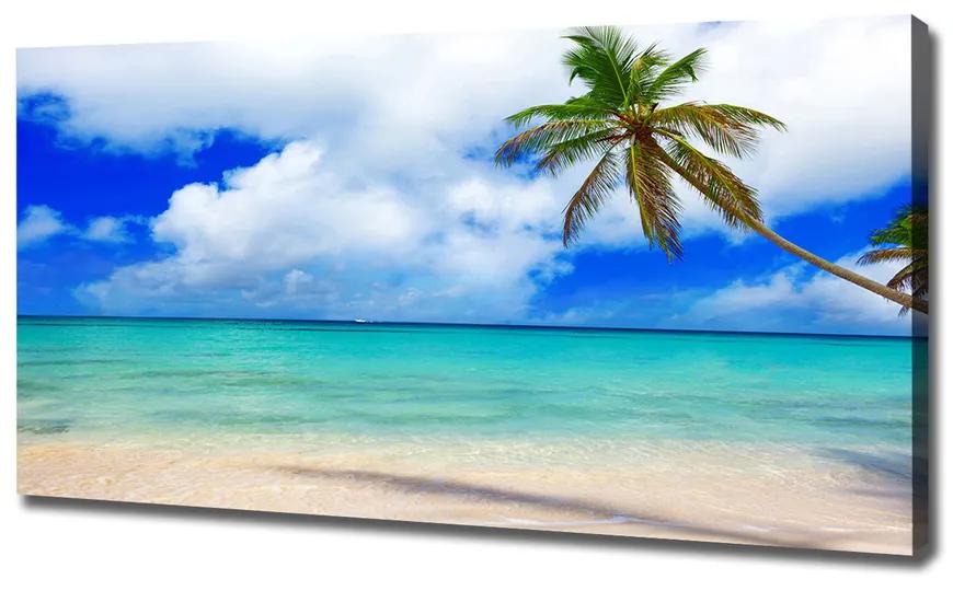 Feszített vászonkép Karibi tengerparton pl-oc-120x60-f-143577240