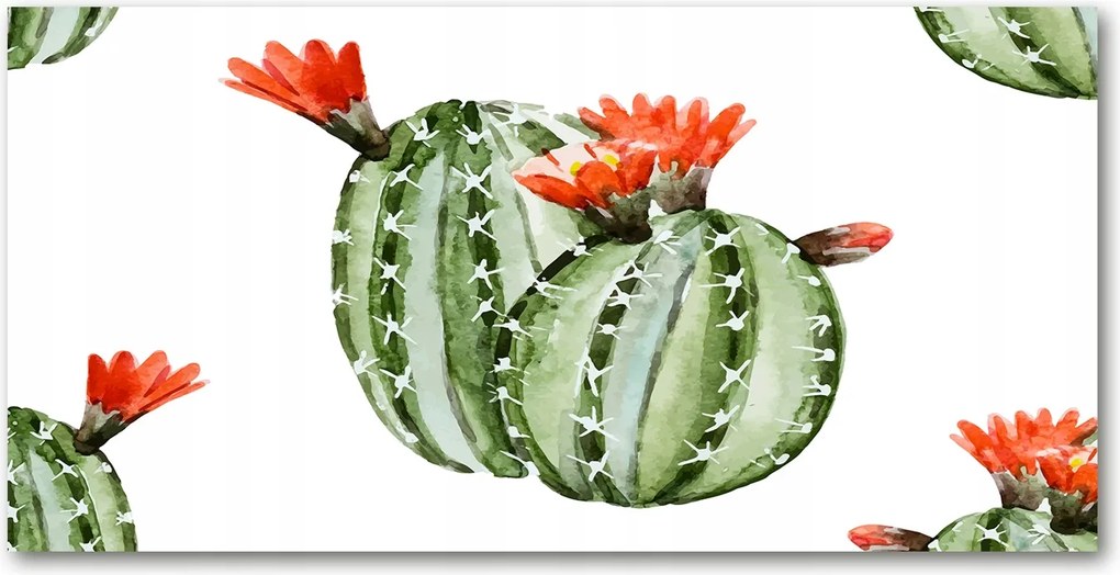 Fotótapéta falra edzett üveg Kaktuszok 140x70