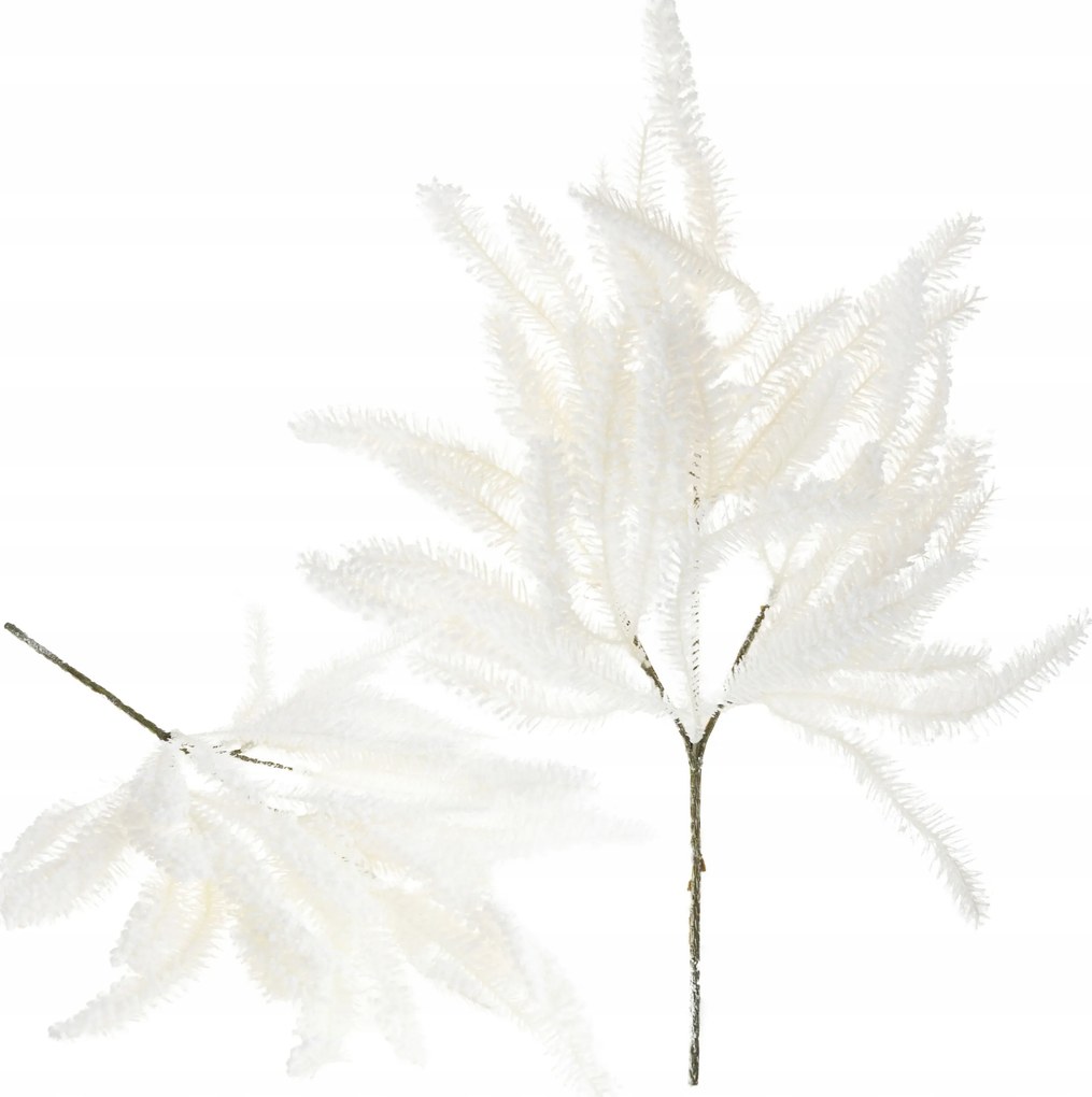 Díszág Fehér Havas Hó Sűrű Karácsonyi Koszorú Nád