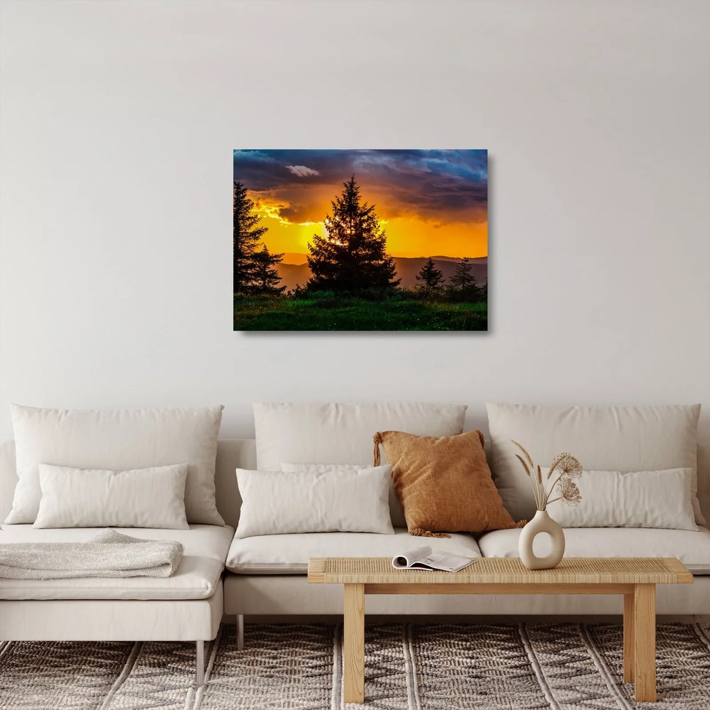 Kép - tűlevelűek (üvegen) (70x50 cm)