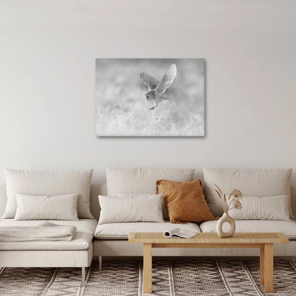 Kép - Bagoly a mezőn (70x50 cm)