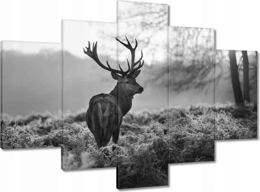Vászonkép 150x105 Fekete-fehér szarvas