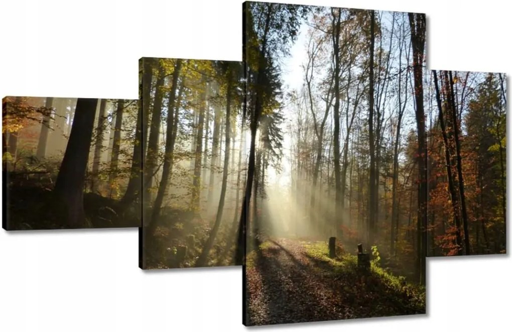 Képek 130x80 Napfelkelte az erdőben