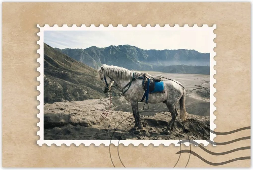 Poszterek 90x60 Lótúrák a hegyekbe