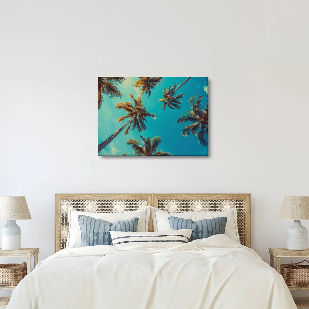 Kép - Magas pálmafák (70x50 cm)
