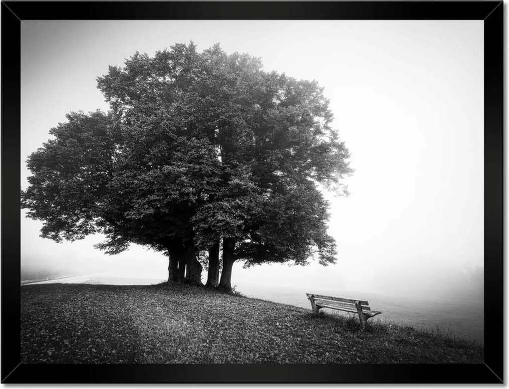 Poszterek keretben 40x30 Tájkép szürke Bw