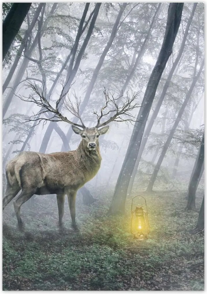 Poszterek 70x100 Szarvas az erdőben