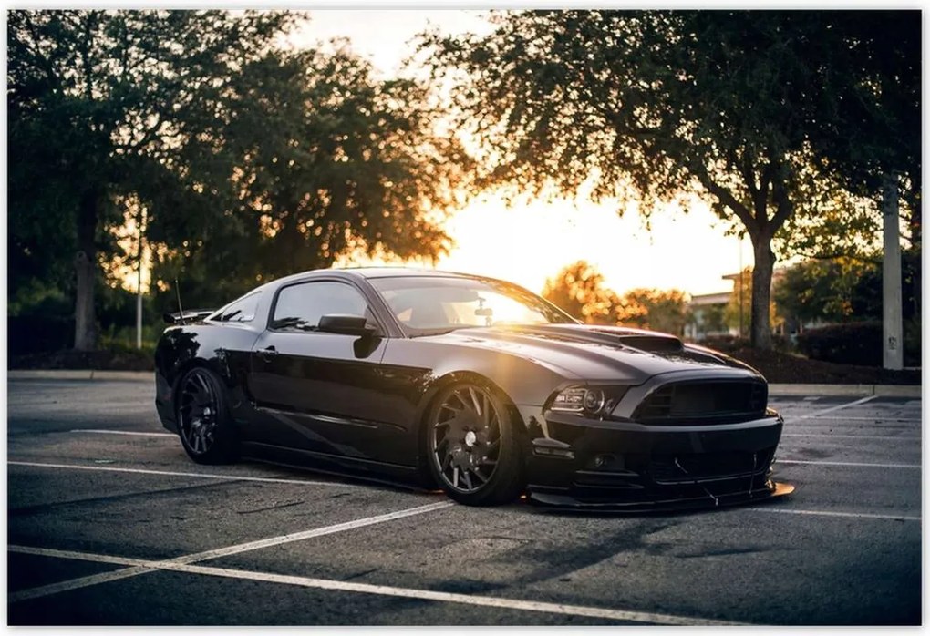 Poszterek 155x105 Fekete fenevad Mustang