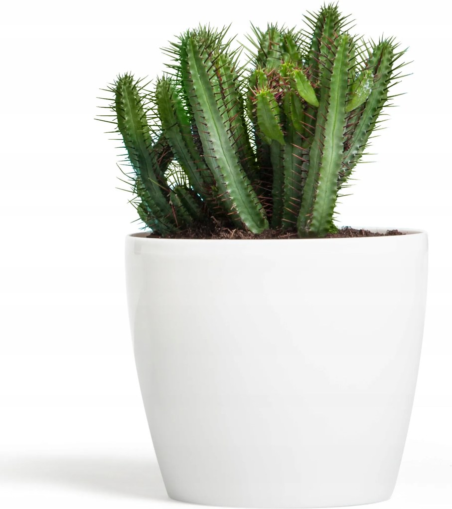 Virágtartó fedő fényes fehér D 36cm H 31,6cm