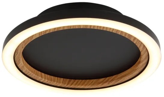 Globo 67356D - LED mennyezeti lámpa DAKARI I LED/12W/230V 3000K átm. 20,5 cm