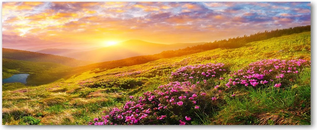 Lacobel konyhaszekrény alá Naplemente hegyek XXL