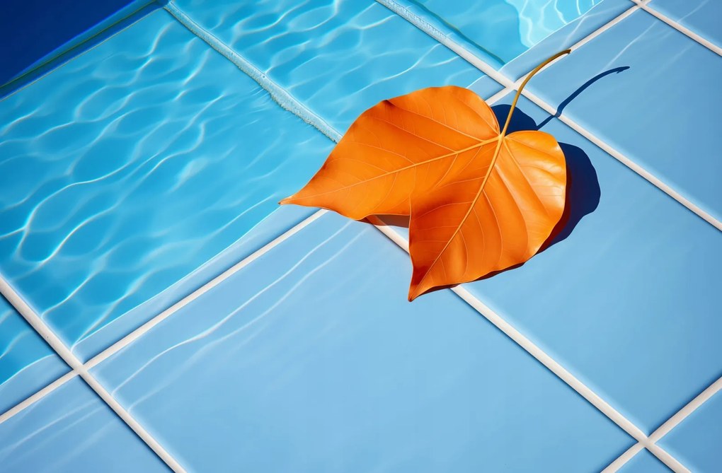 Poszter 91,5x60cm Levél a víz mellett