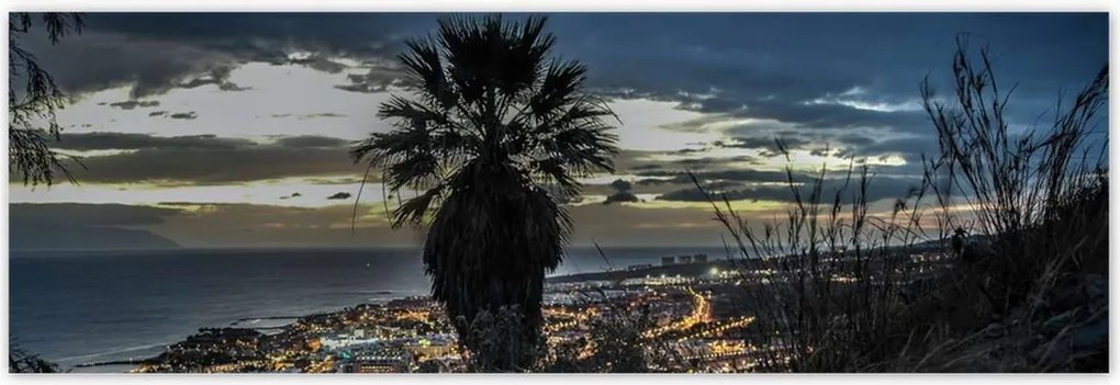 Poszterek 200x66 Tájkép pálmafákkal