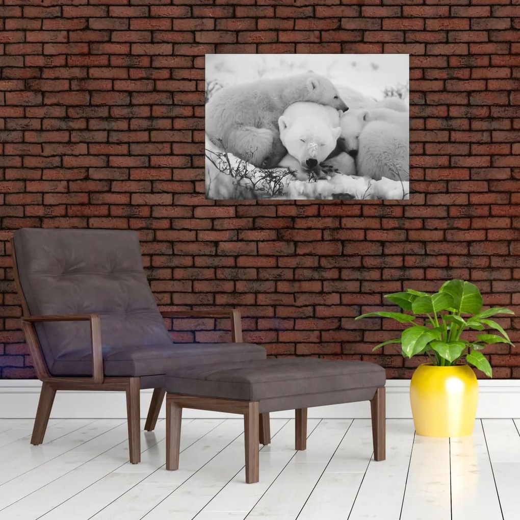 Üveg kép - Jegesmedvék (70x50 cm)