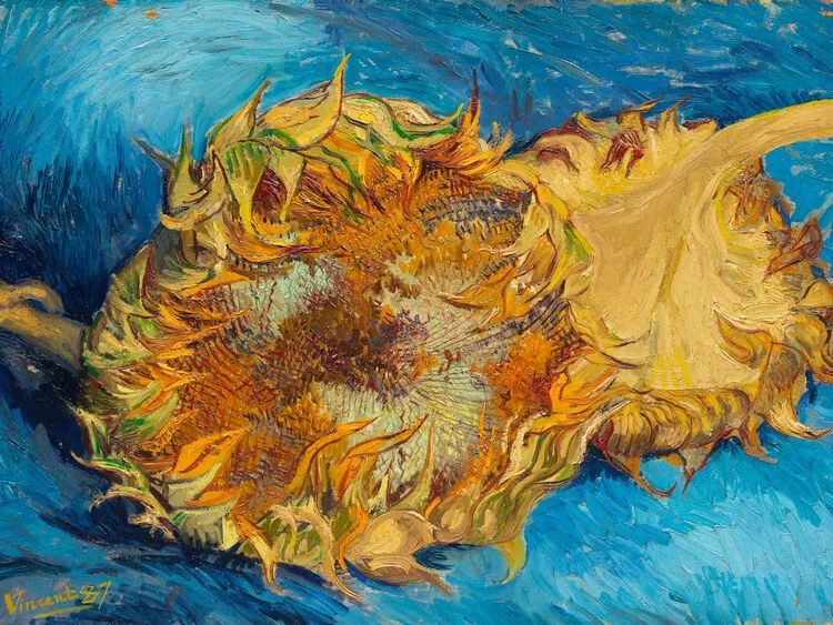 Reprodukció Sunflowers, Vincent van Gogh