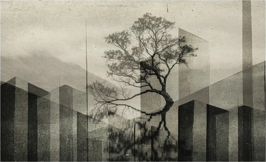 Fotótapéta Flizelin Design Divatos Nyers elegancia 416x254 Ragasztó