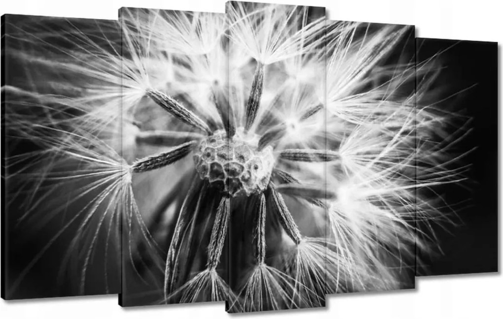 Vászonkép 100x60 Pitypang Virág Virágok