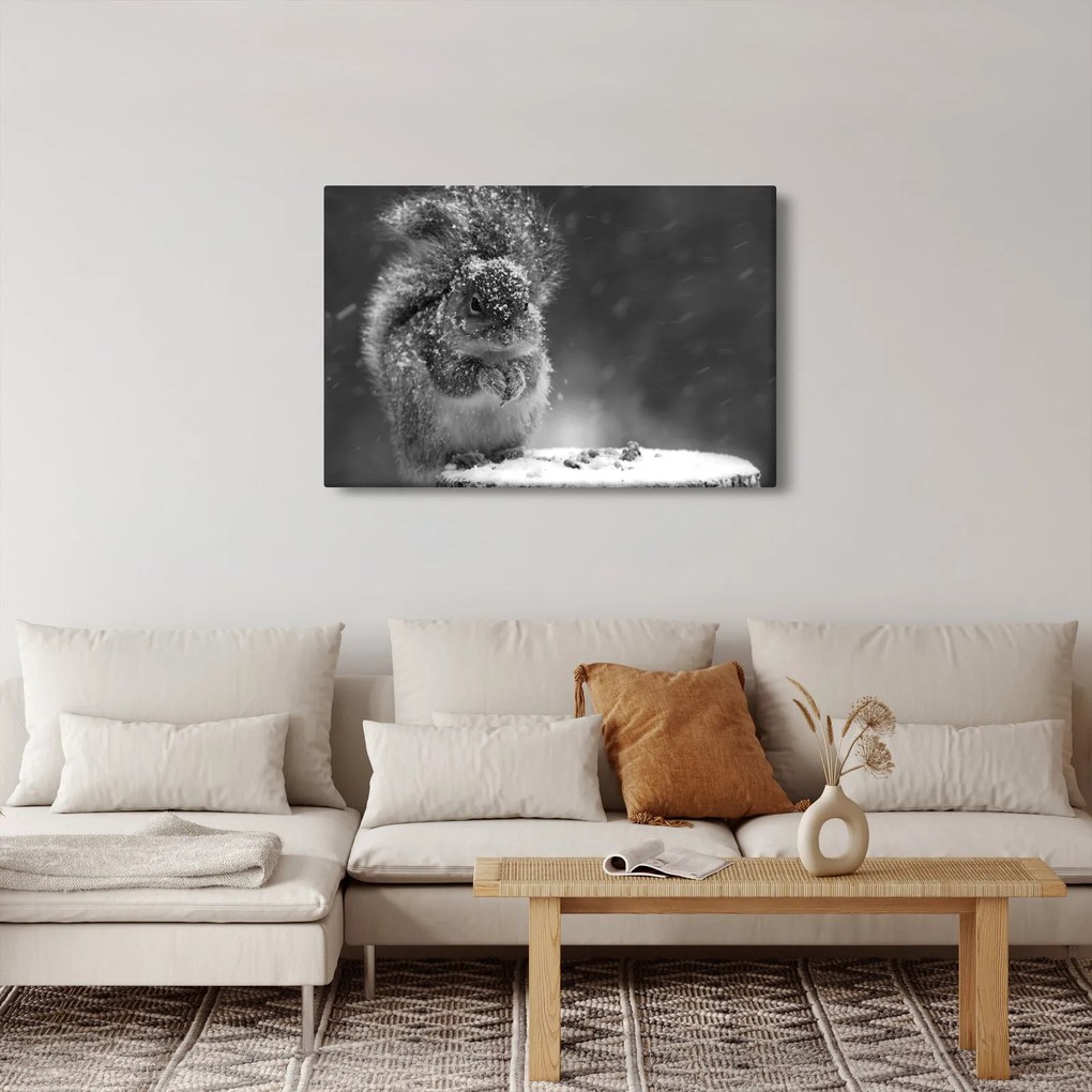 Kép - Mókus télen (90x60 cm)
