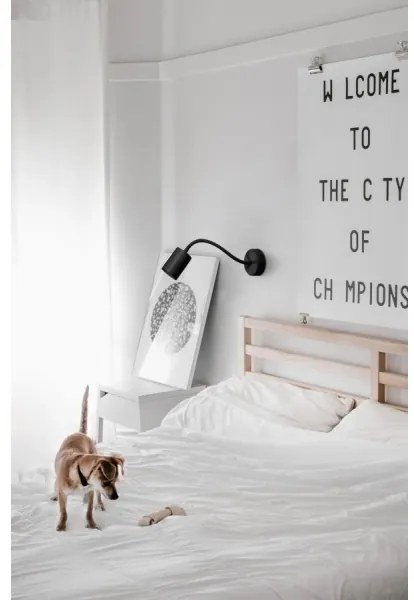 Palnas 61002620 - Fali spotlámpa GEMA 1xGU10/10W/230V