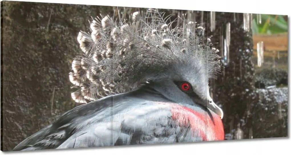 Vászonkép 180x90 Színes madár