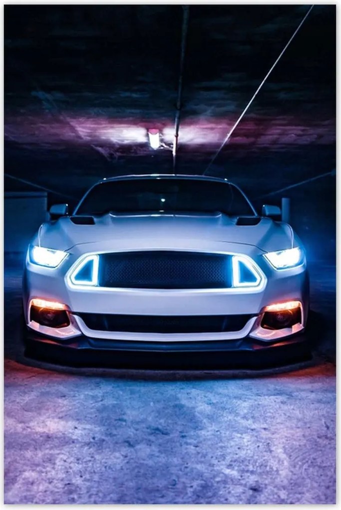 Poszterek 80x120 Ford Mustang Autó