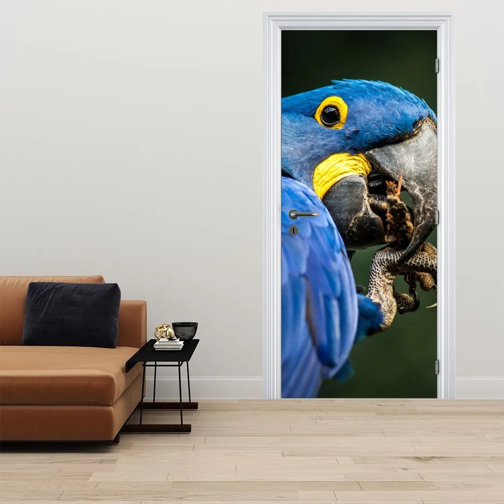 Fotótapéta ajtóra - Papagáj (95x205cm)