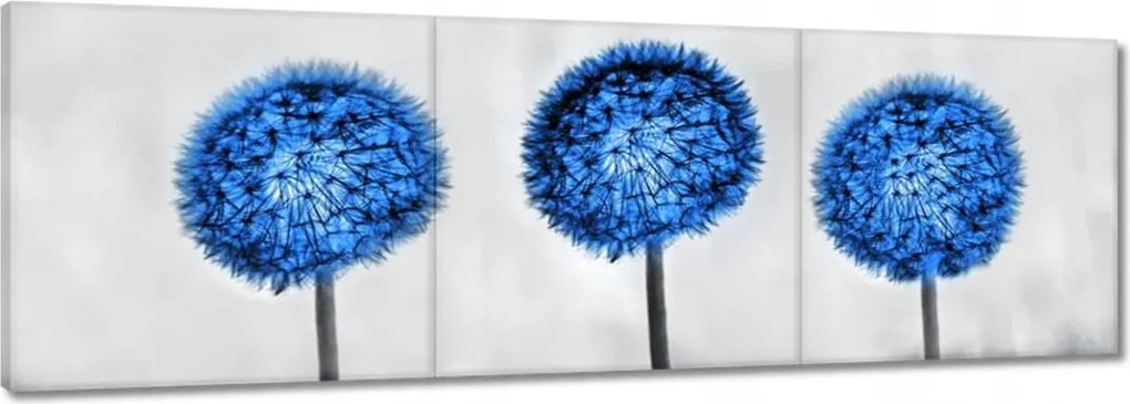 Vászonkép 120x40 Kék pitypangok