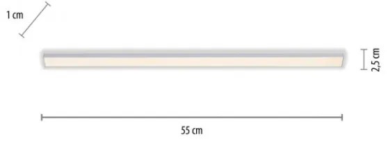 Paul Neuhaus 1125-21-A - AMON LED 6W 12V 230V alatti világítás