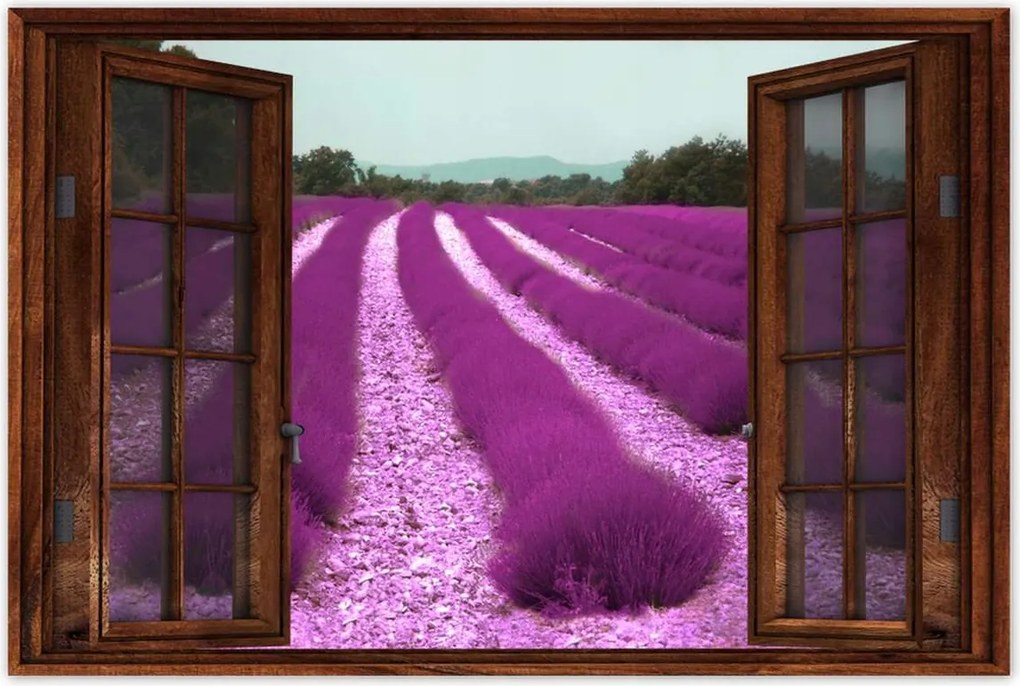 Poszterek 90x60 Levendulamező