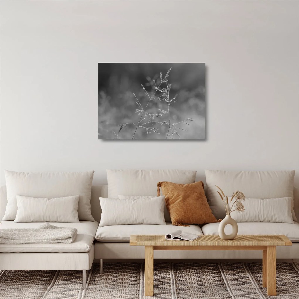Üveg kép - Vidéki rét (70x50 cm)