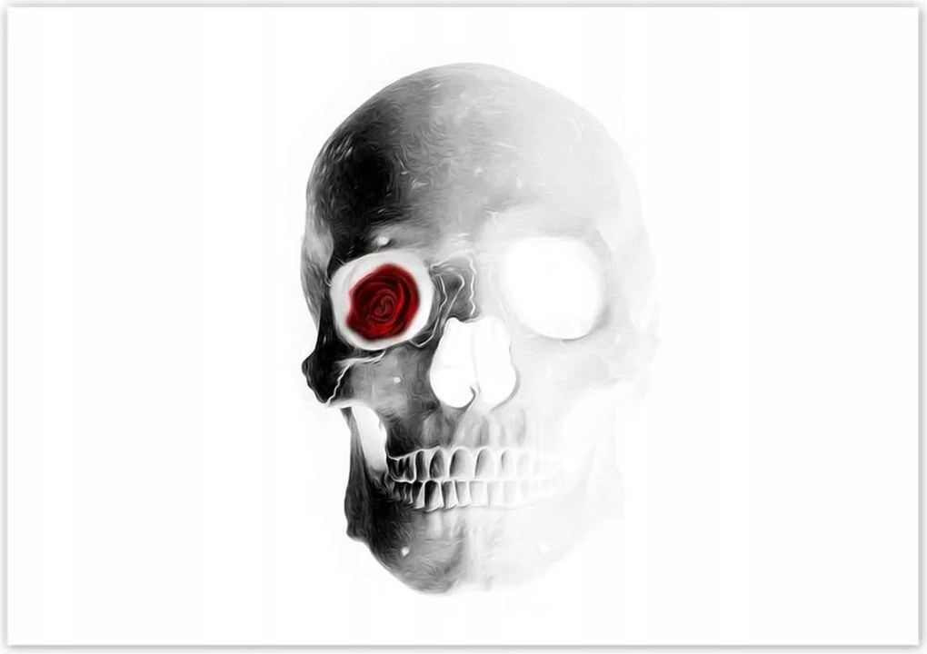 Poszterek 100x70 Koponya rózsával Rózsa