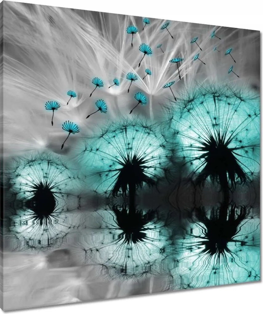 Vászonkép 80x80 Kék pitypangok