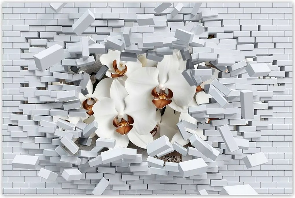Poszterek 90x60 Fehér orchideák és mozaik