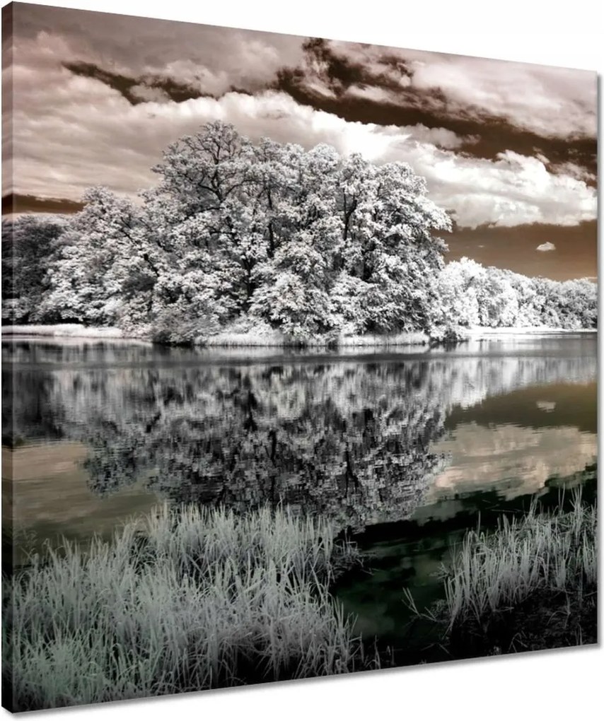 Vászonkép 50x50 Tájkép Infravörös Ir