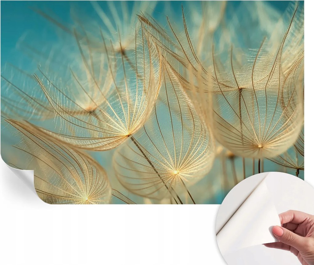 Fali fotótapéta előszoba konyhába Pitypang éteri 104x70 cm