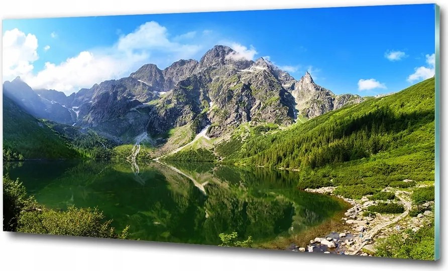 Fotó kép edzett üveg Levendula mező 125x50