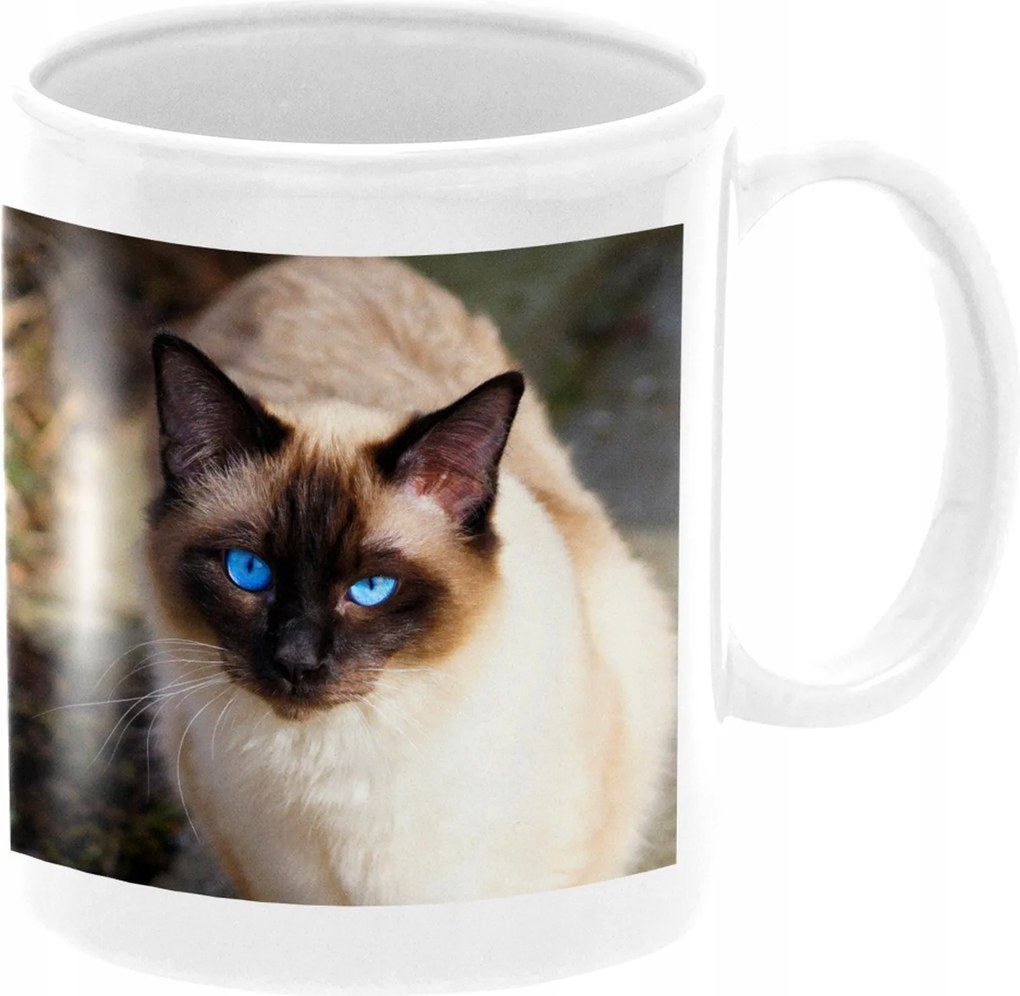 Sziámi Macska Bögre Macskákkal Születésnapi Ajándék 330ml Csomagolás