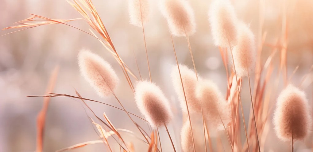 Poszter 91,3x44,5cm Napvirágok