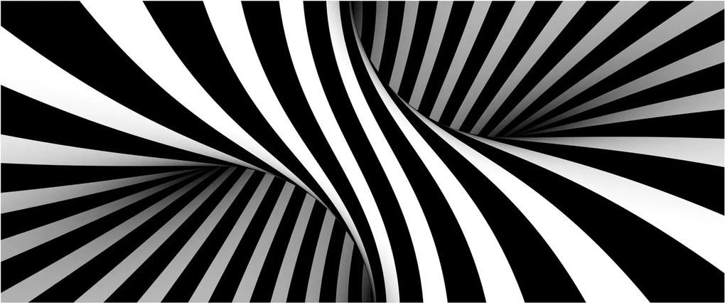 Absztrakt kép zebra csíkokkal (120x50 cm)