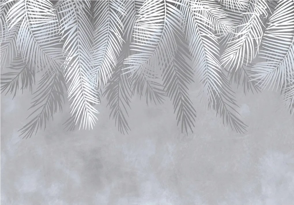 Fotótapéta Szürke pálmafák a természet ritmusa és a szürke eleganciája 416x254 +ragasztó