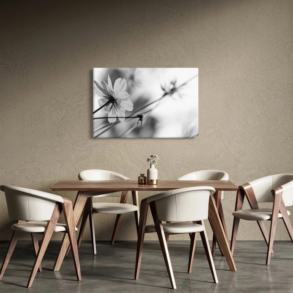 Kép - Fekete-fehér virágok (90x60 cm)