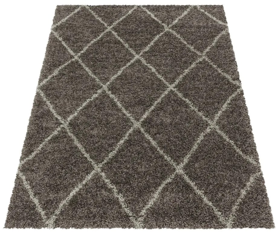 Barna szőnyeg 120x170 cm Alvor – Ayyildiz Carpets