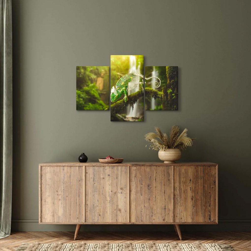 Gyík képe (90x60 cm)