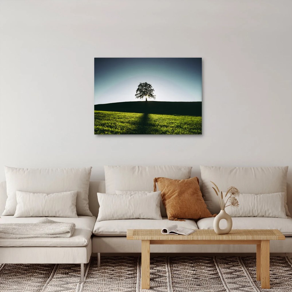 Természet kép - fa (70x50 cm)