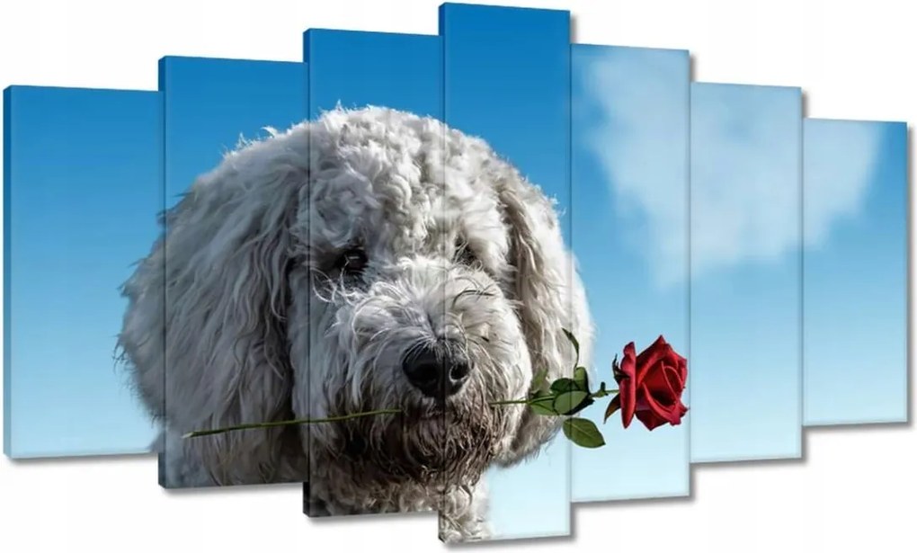 Képek 140x80 Szerelmes korcs szerelem