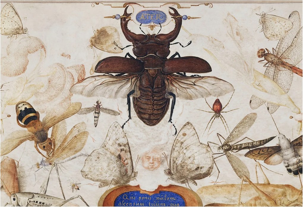 Fali fotótapéta előszoba konyhába Természetes harmónia 152x104 Ragasztó