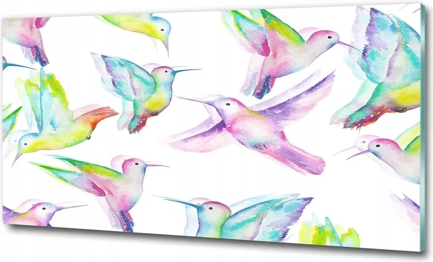 Fotótapéta falra edzett üveg Kolibri 100x70