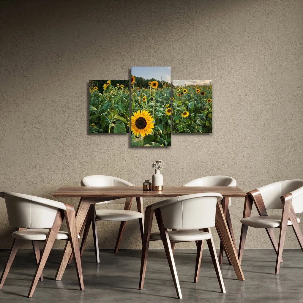 Kép - Napraforgómező II. (90x60 cm)