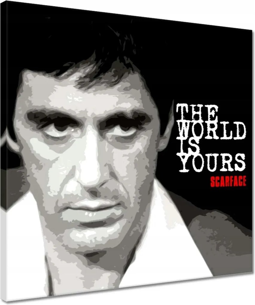 Képek 40x40 A világ a tiéd Pacino