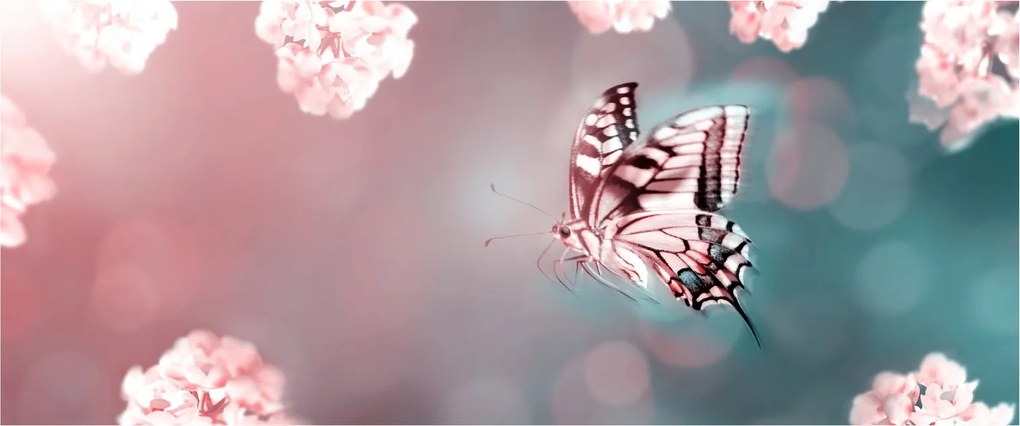 Kép - pillangó a virágok között (120x50 cm)